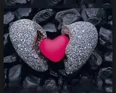 heart