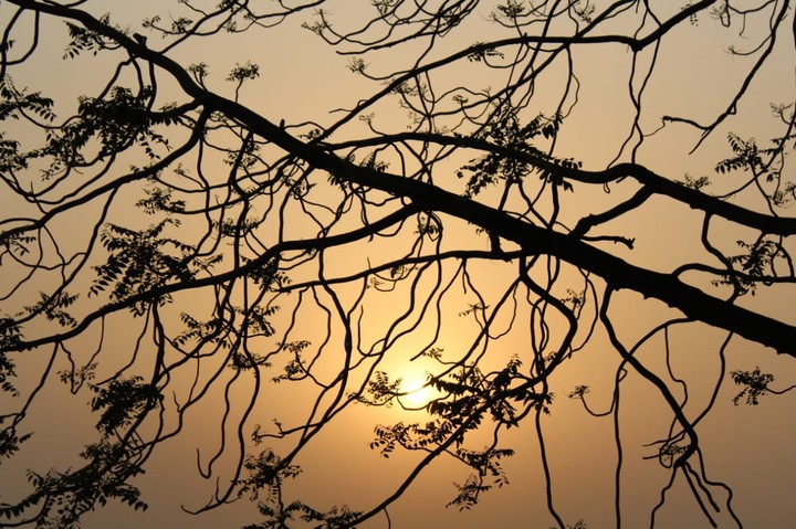 Shadows...