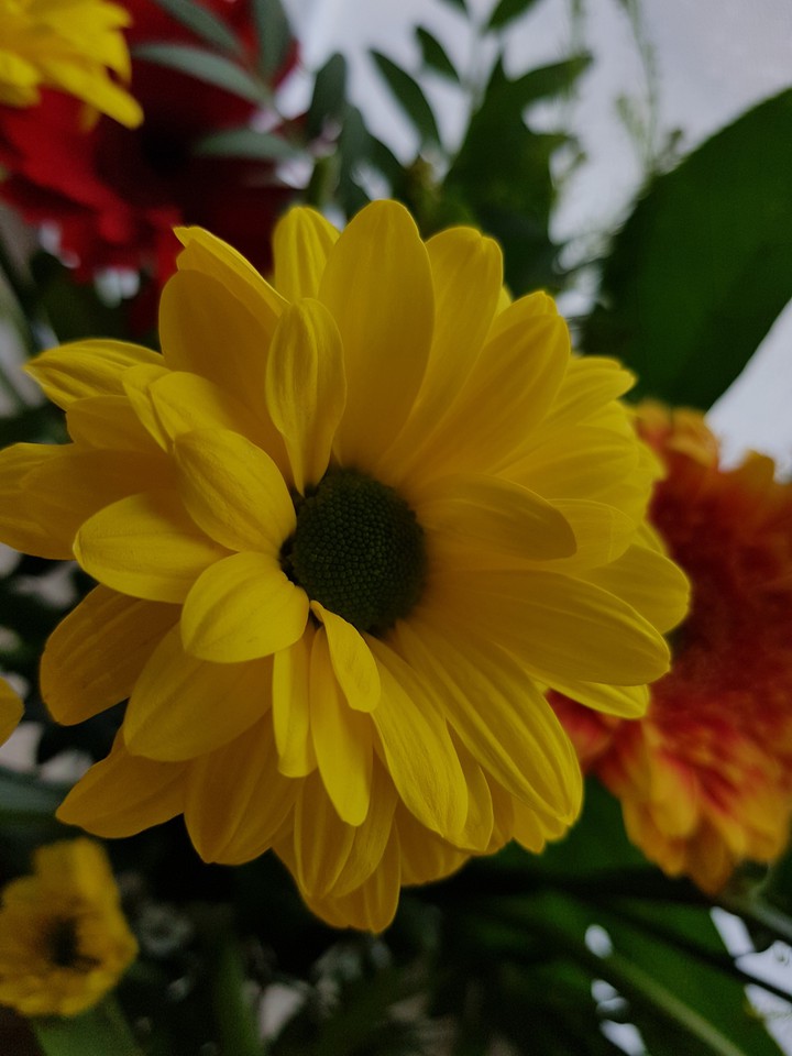 Yellow like Sun