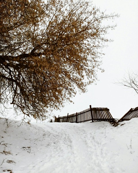 snowy day
