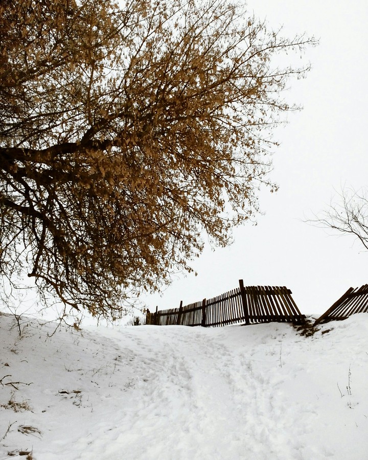 snowy day