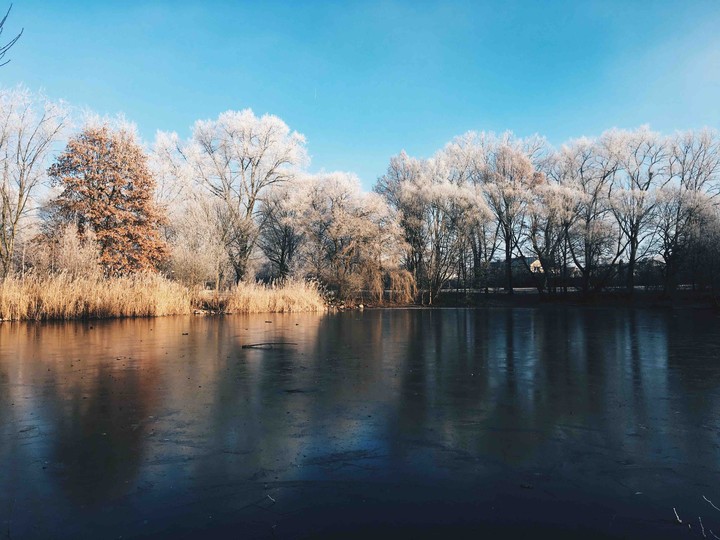 winter