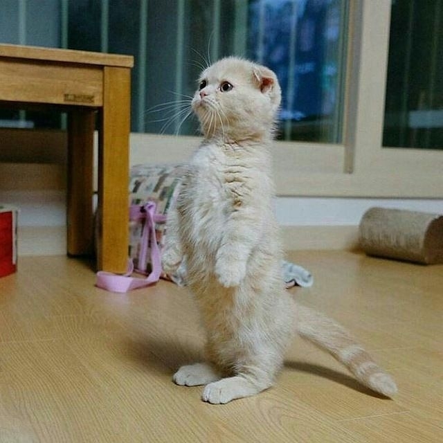 when i sad