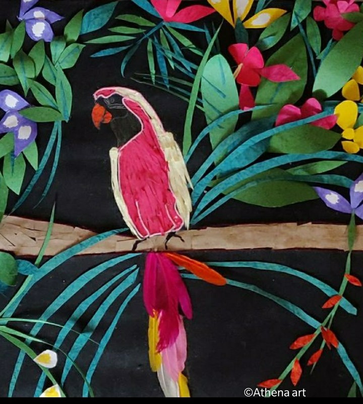Parrot