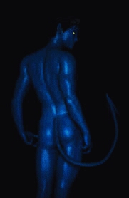 devil ♥