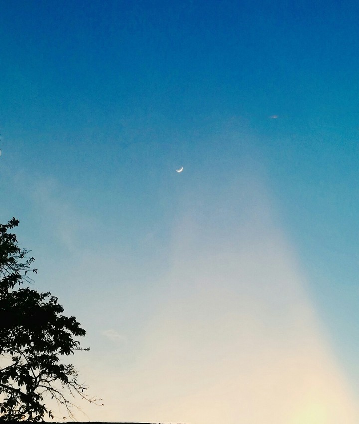 Moon