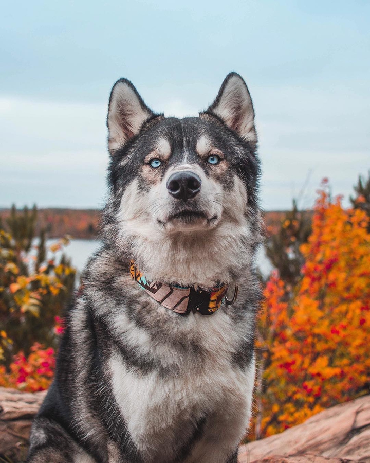 ~