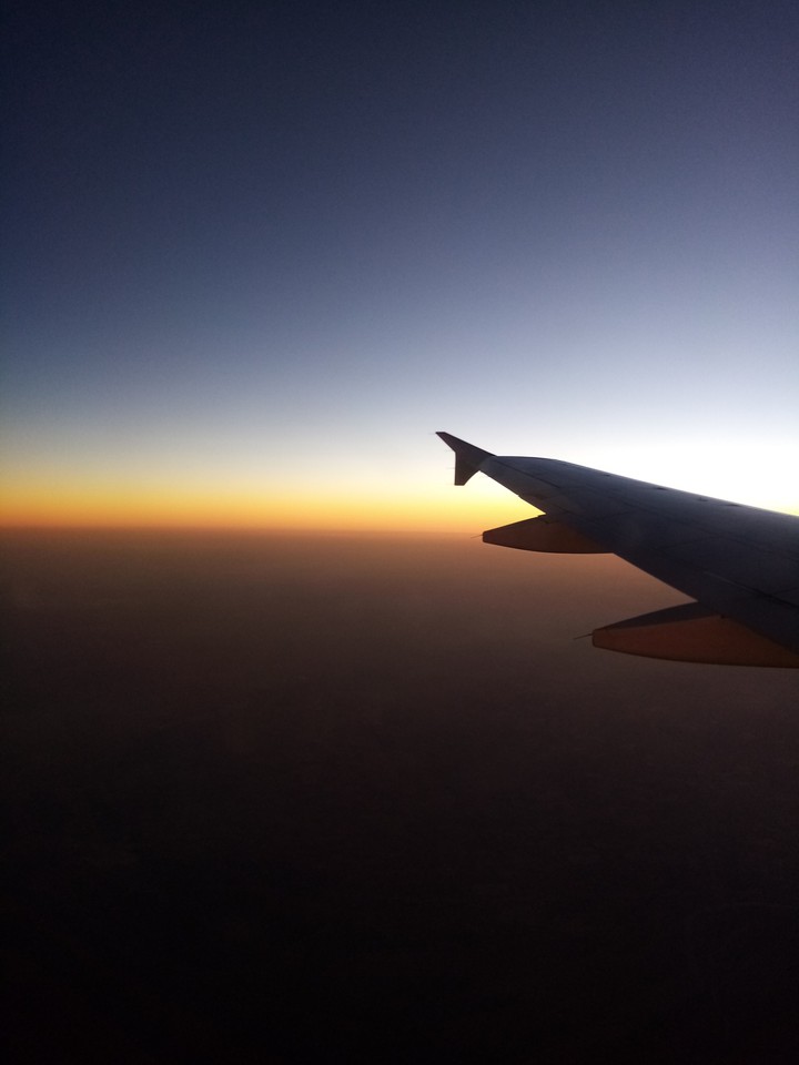 fly