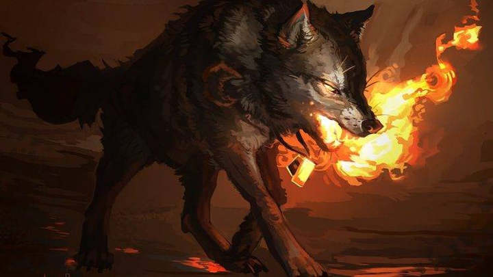 wolf