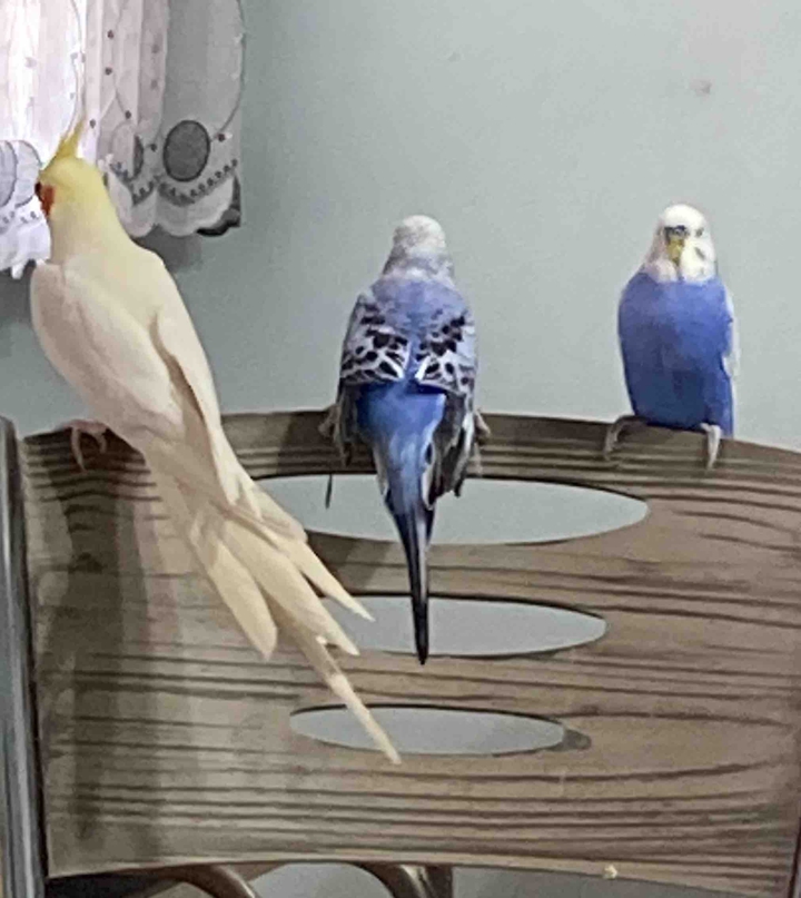.