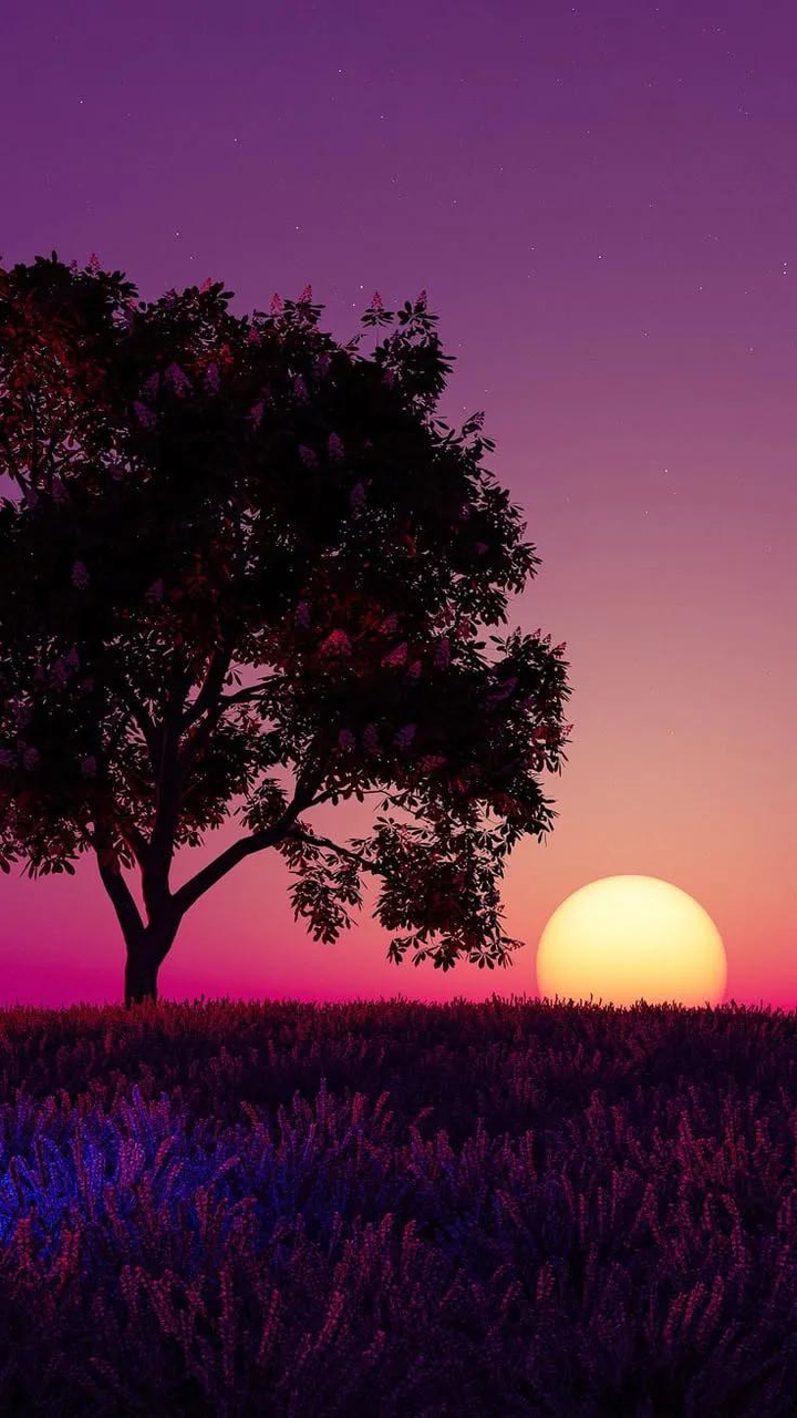 dawn, evening achtergronden