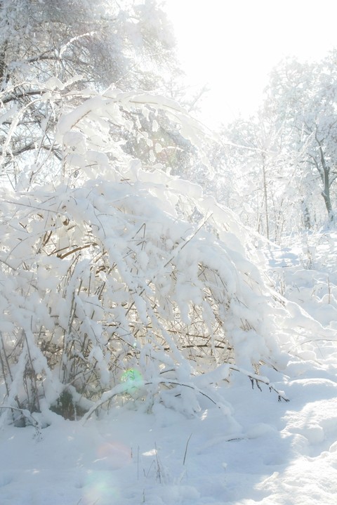 snow