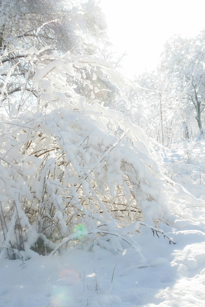 snow