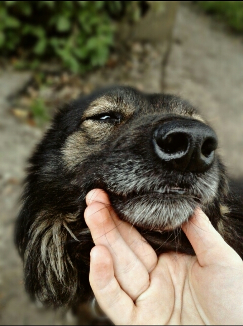 satisfied Boss