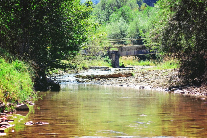 Zizin river