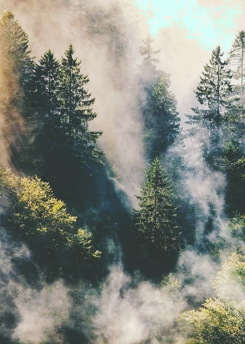 the Carpathian mountains