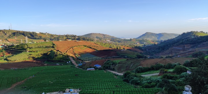 Ooty