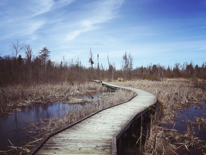 Rickety Bridge #2