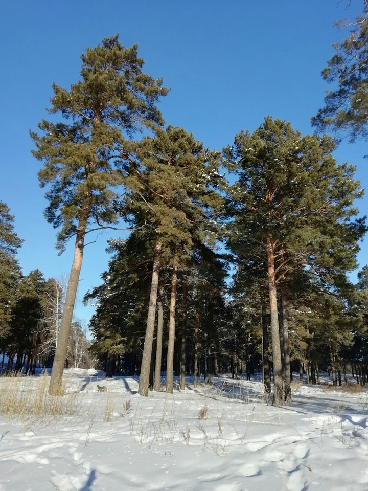 Дома небо самое синее.