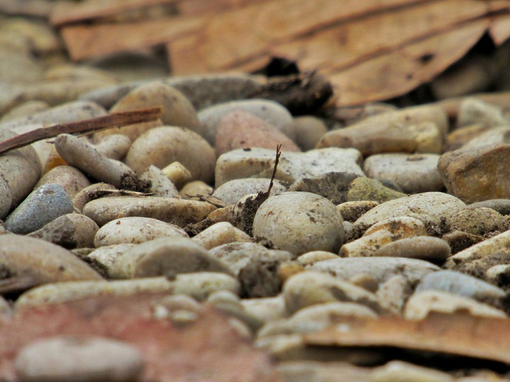 pebbles