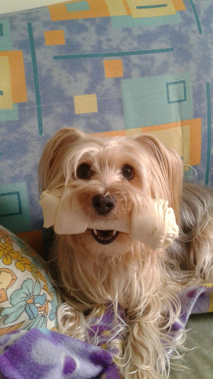 flor 