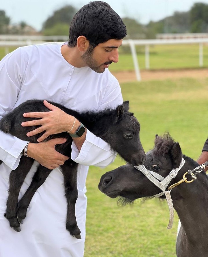 احب ورعاية الحيوانات