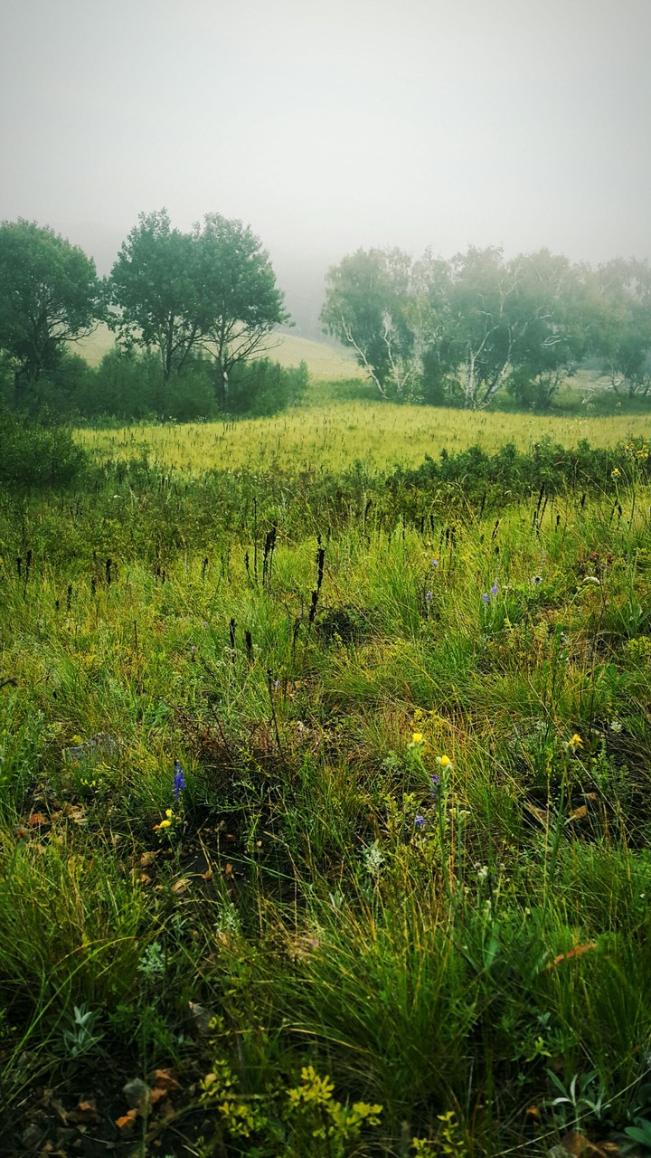 Beloyarovka in Kazakhstan
