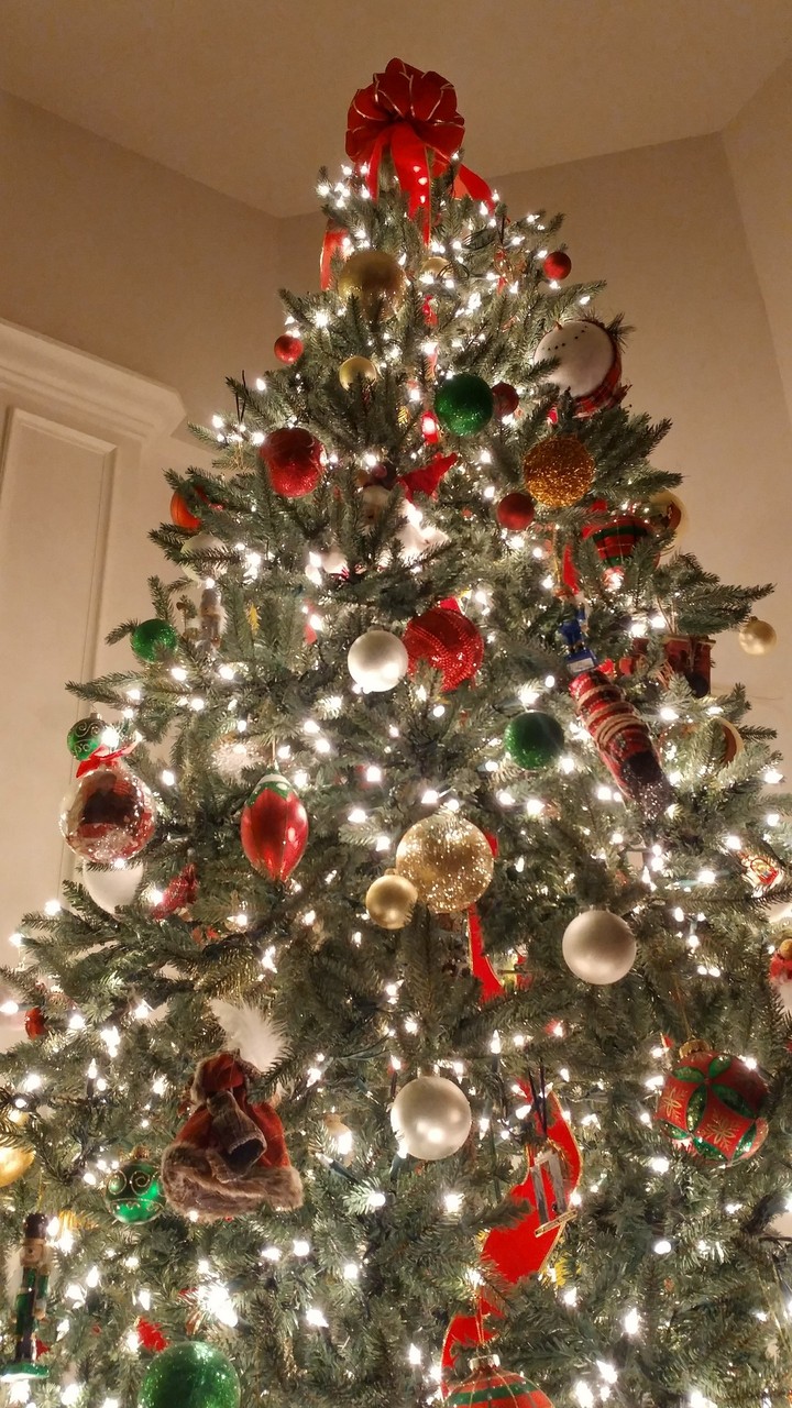Christmas tree in Virginia