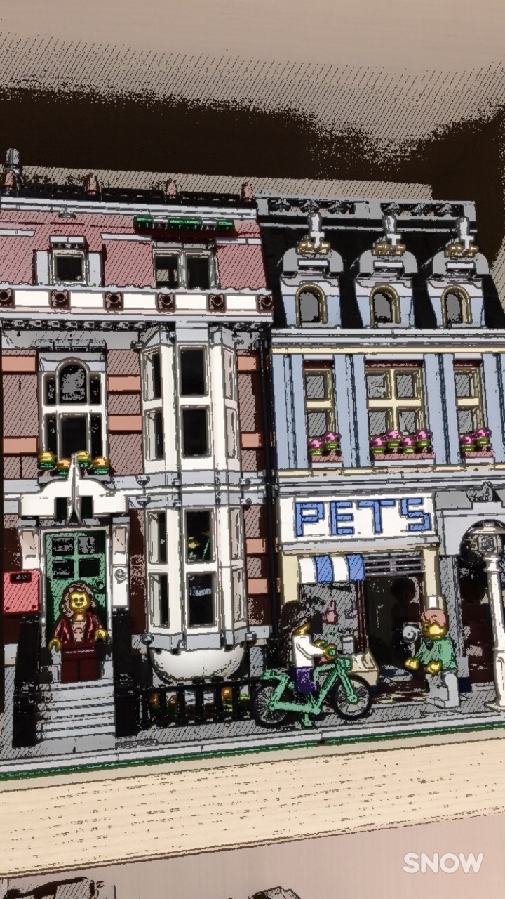 the pet shop