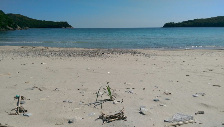 Coastline