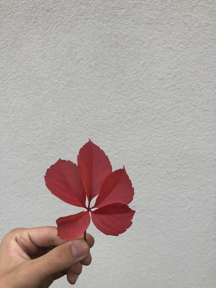 ?