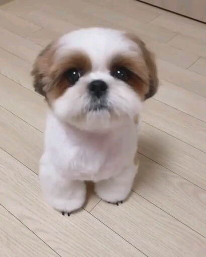 Heart melting ...??