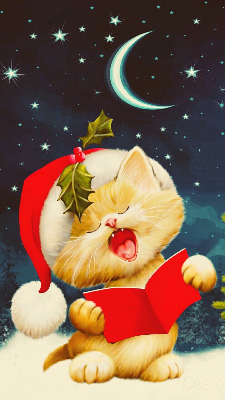 The cat Santa