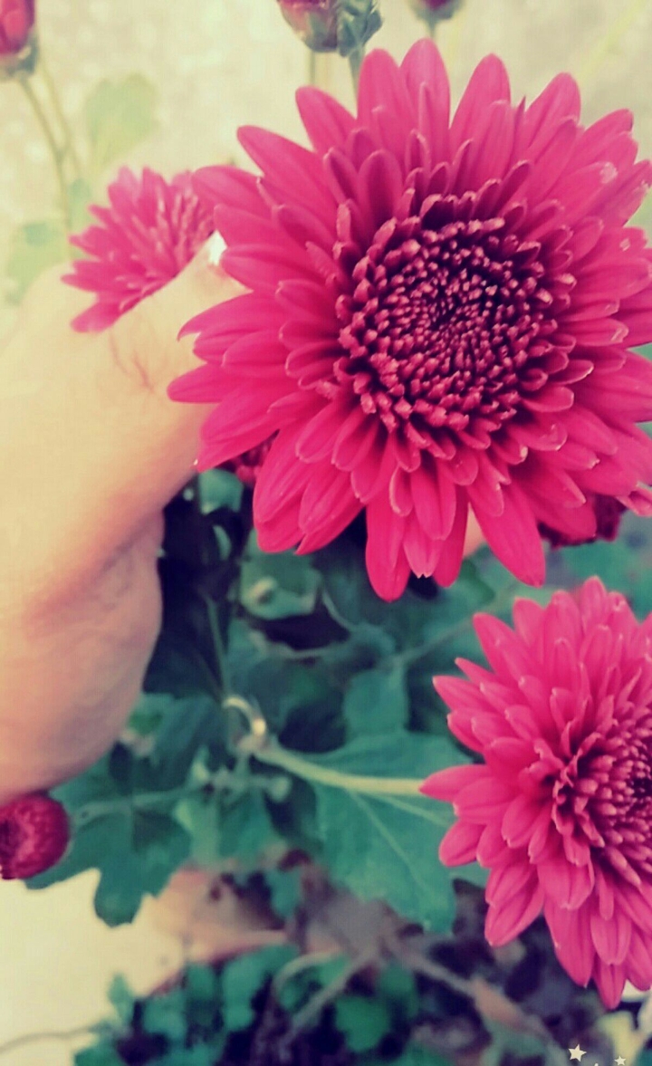 Love ❤