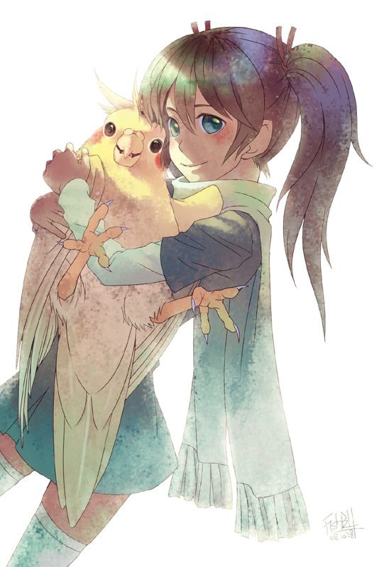 cockatiel