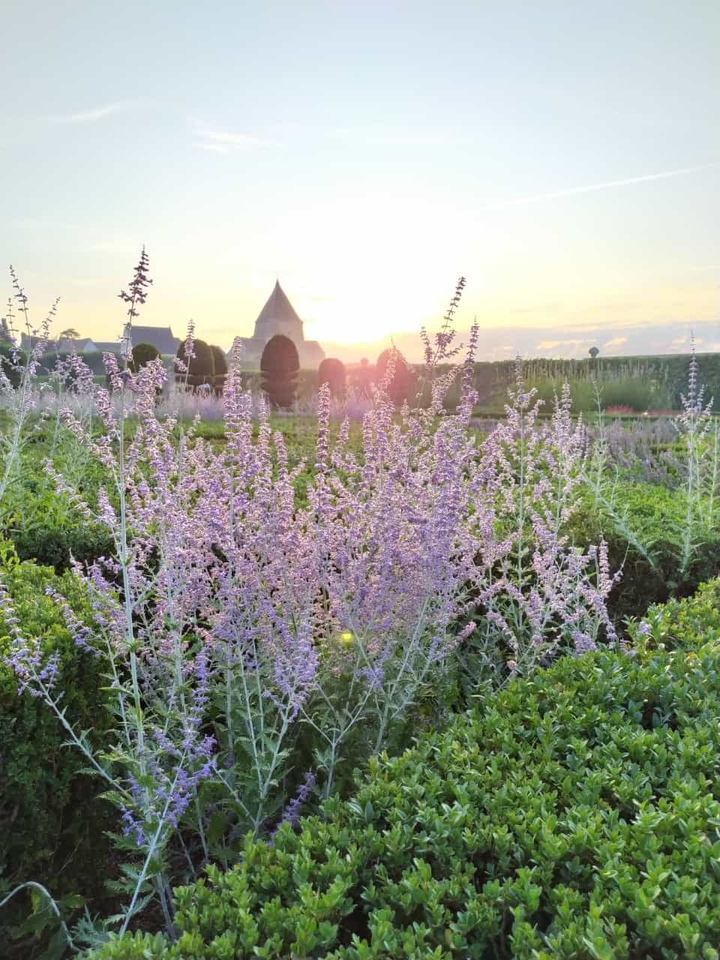 this Is France, provence
