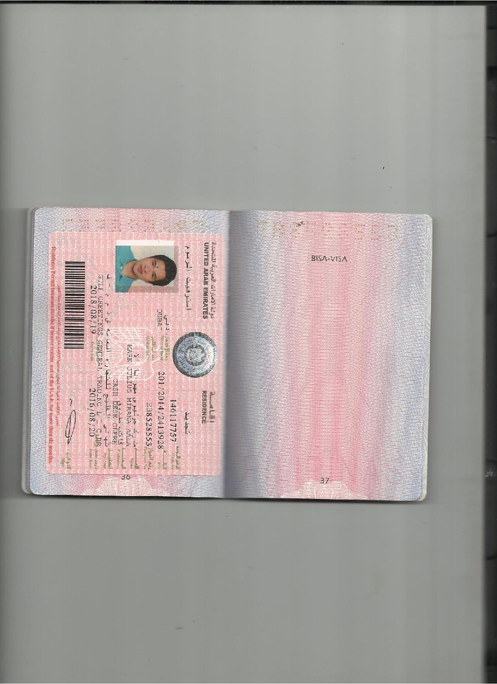 mark visa