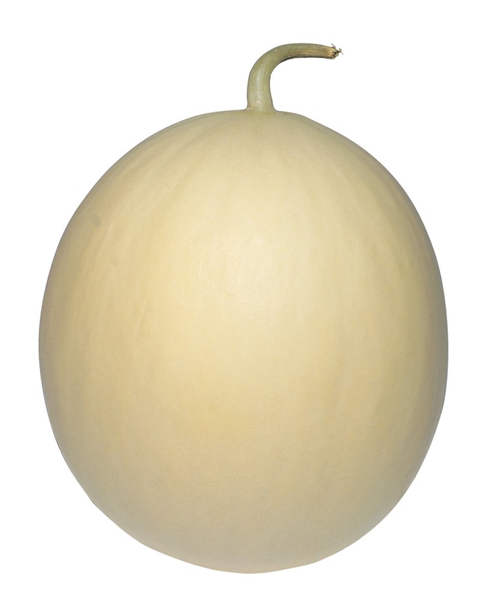 음식
