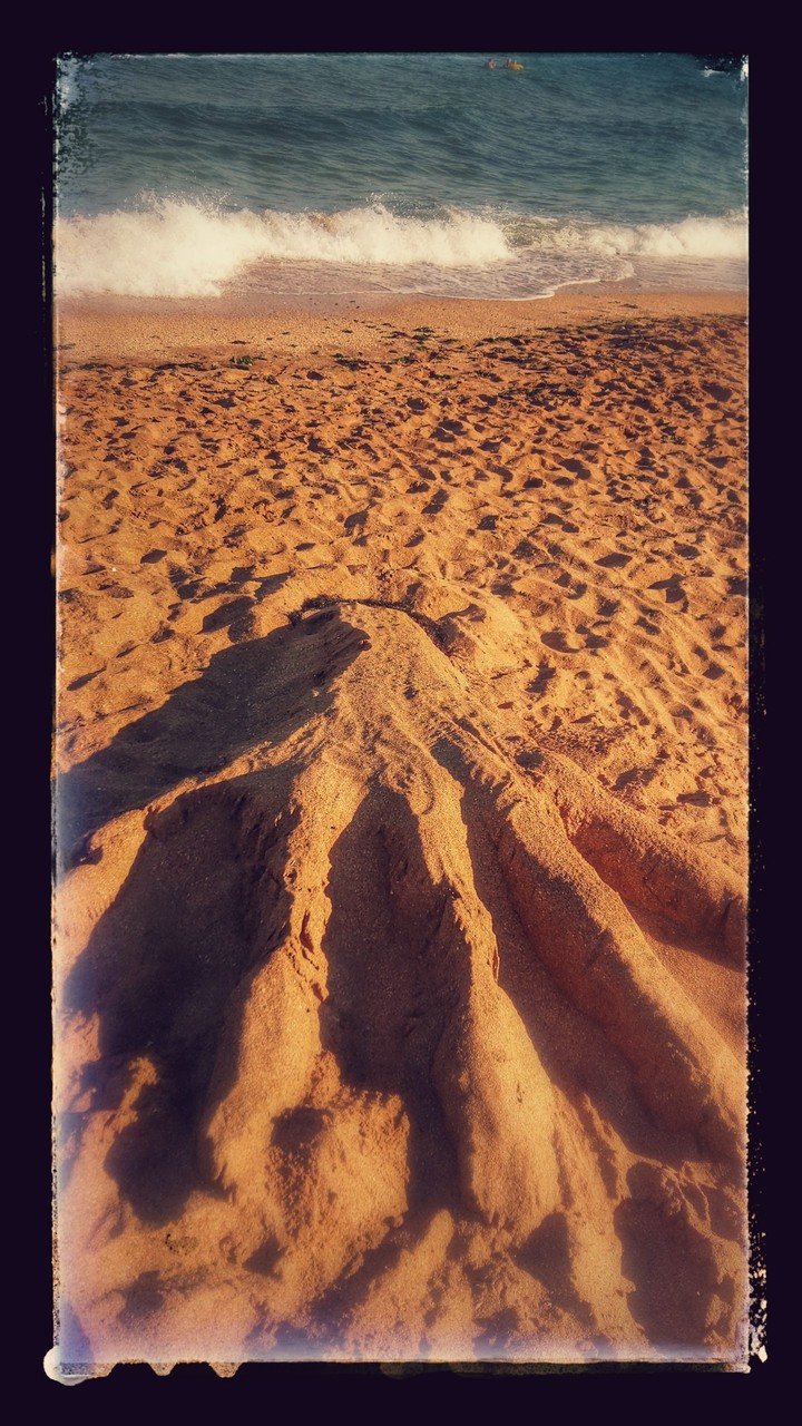 море
