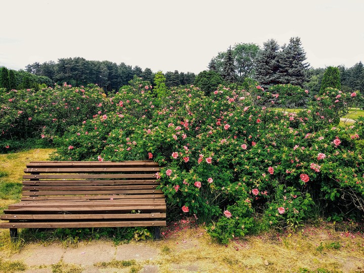 silent place