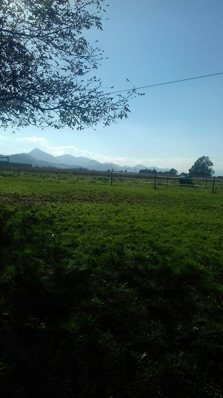 Natur