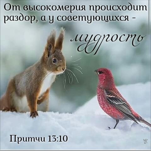 wisdom