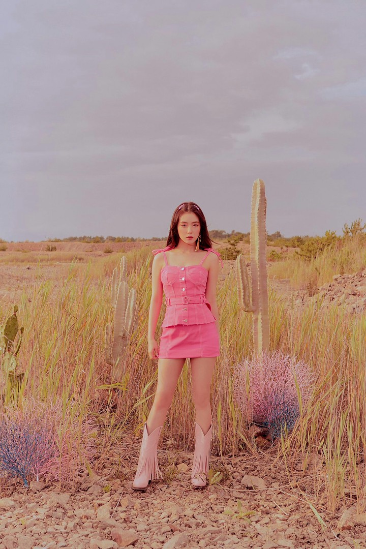 Red Velvet*