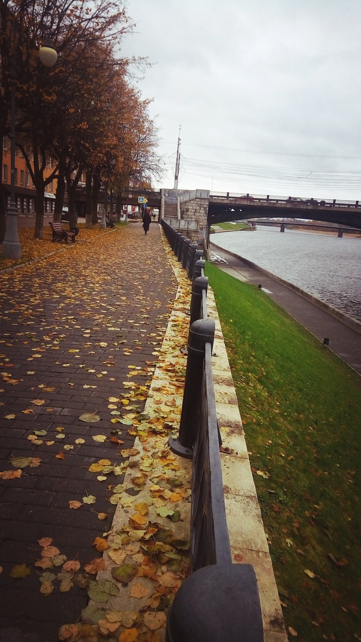 Осень.Волга