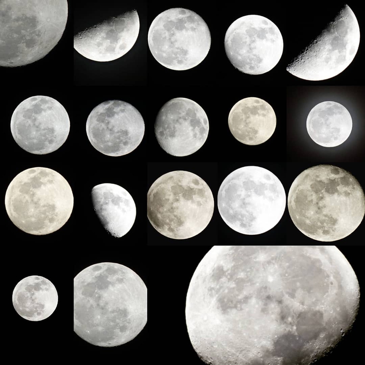 Lunas