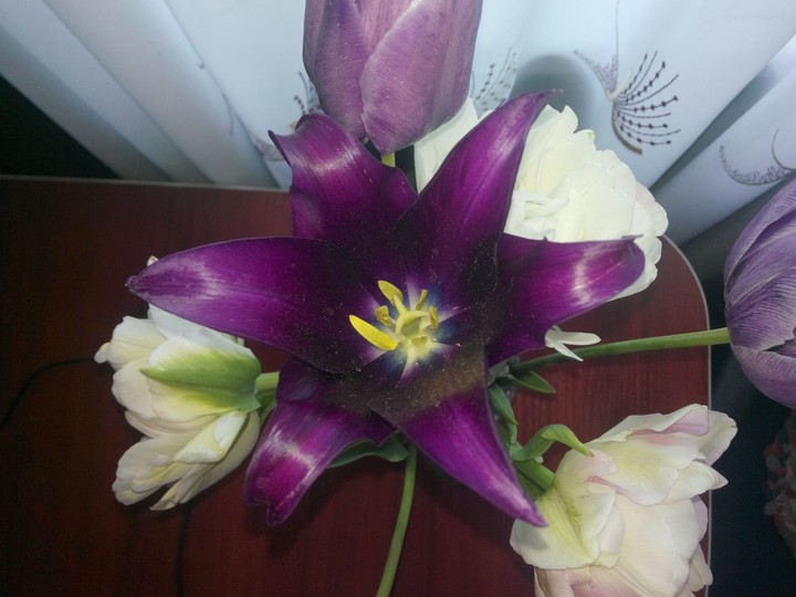 Purple love