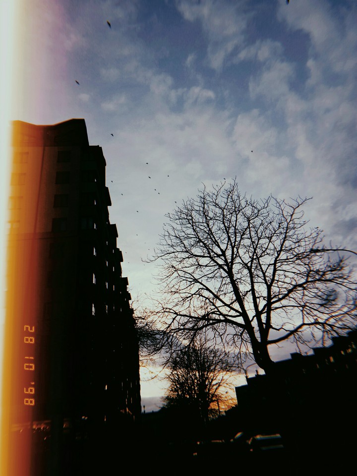 I like this photo very much