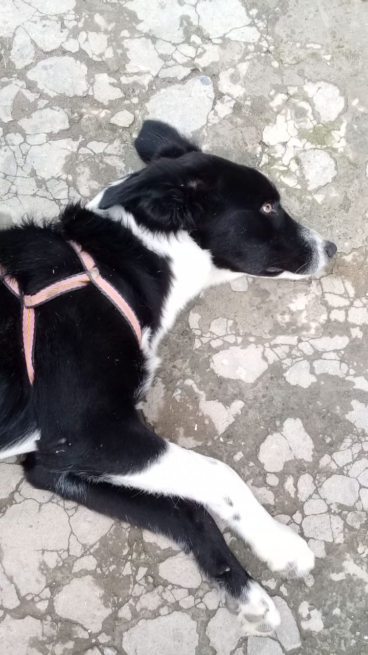 ??♥️