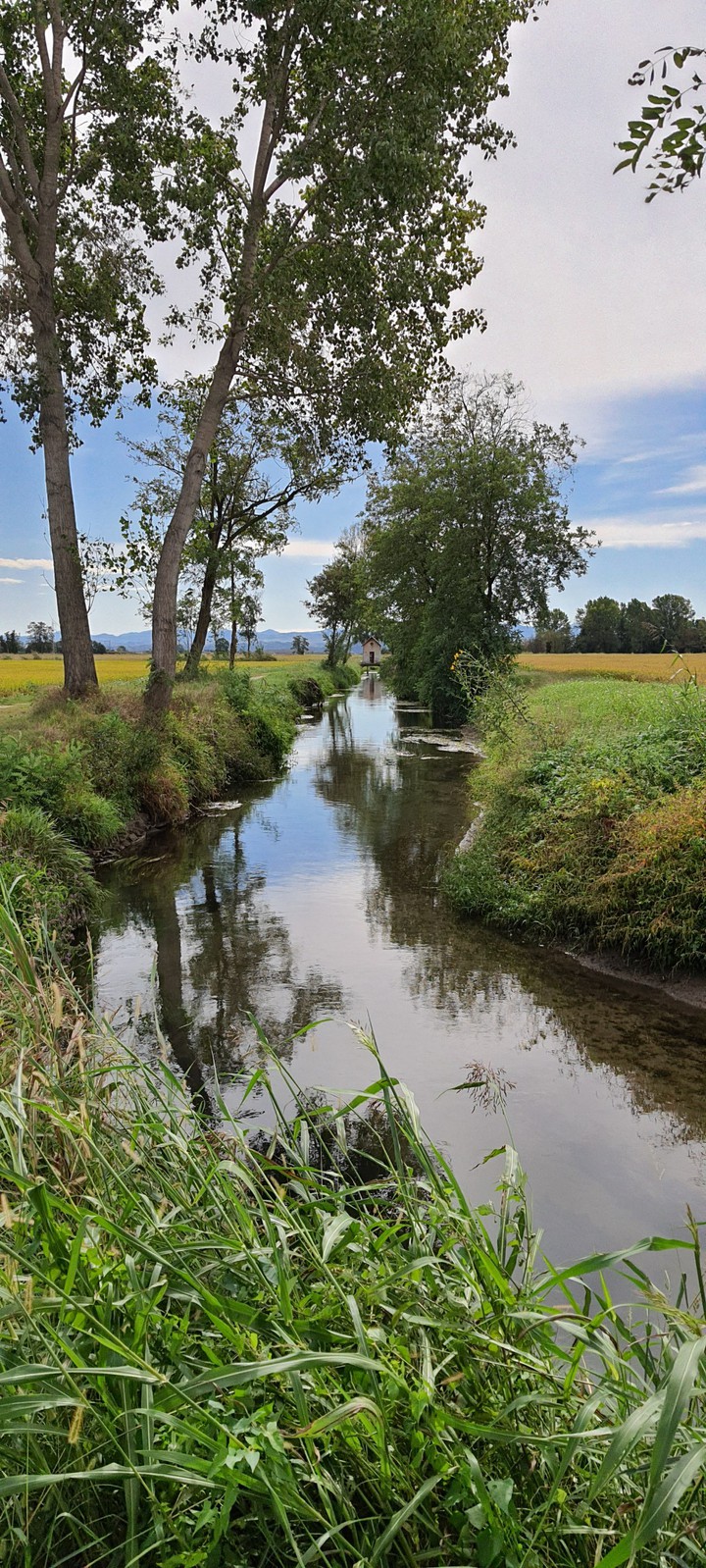 Strolling near the stream
