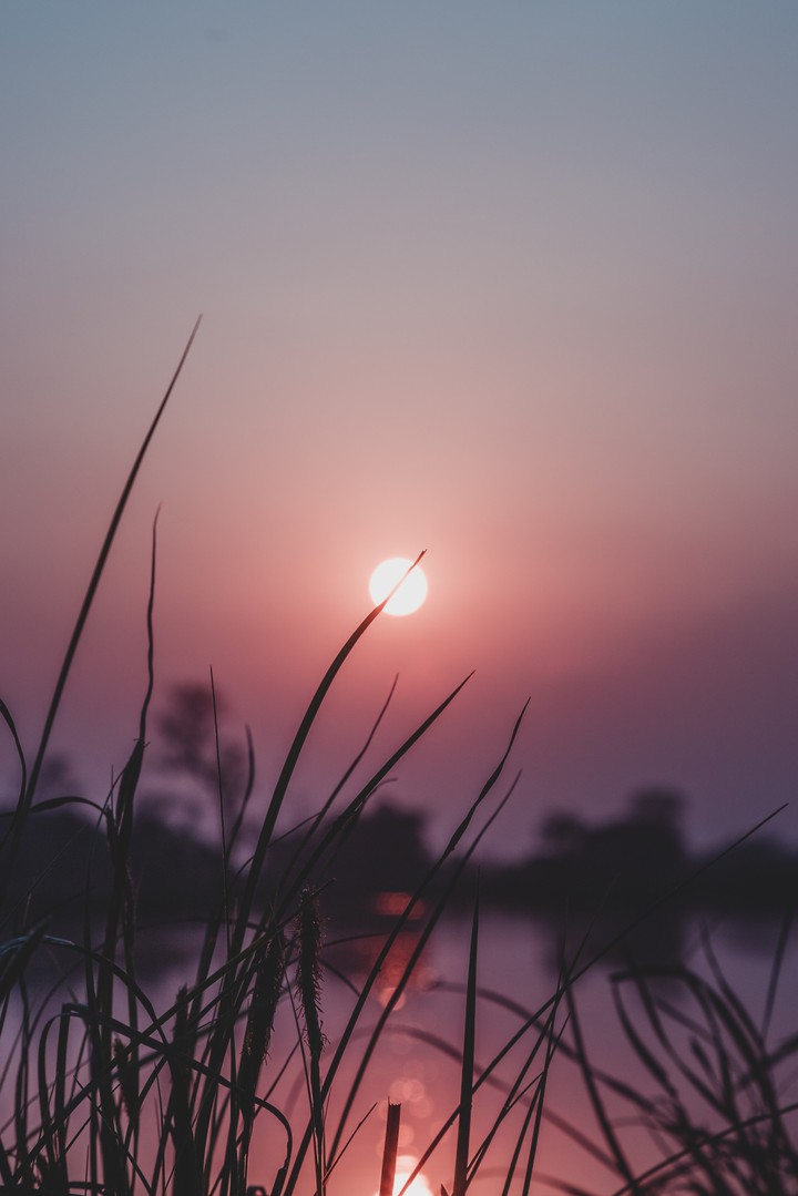 Sunset and Grass